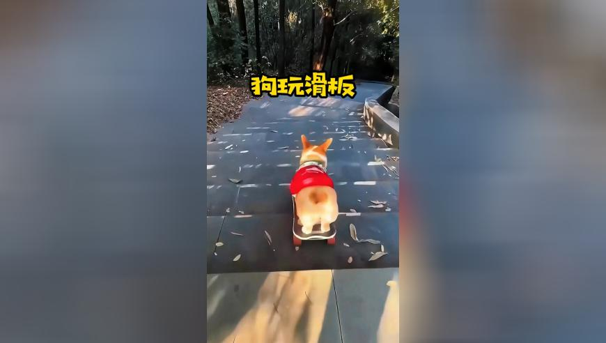 驻外人员嫖娼遭威胁 向间谍大量泄密,新澳门今期开奖结果记录,多元化方案执行策略_经典版V14.63