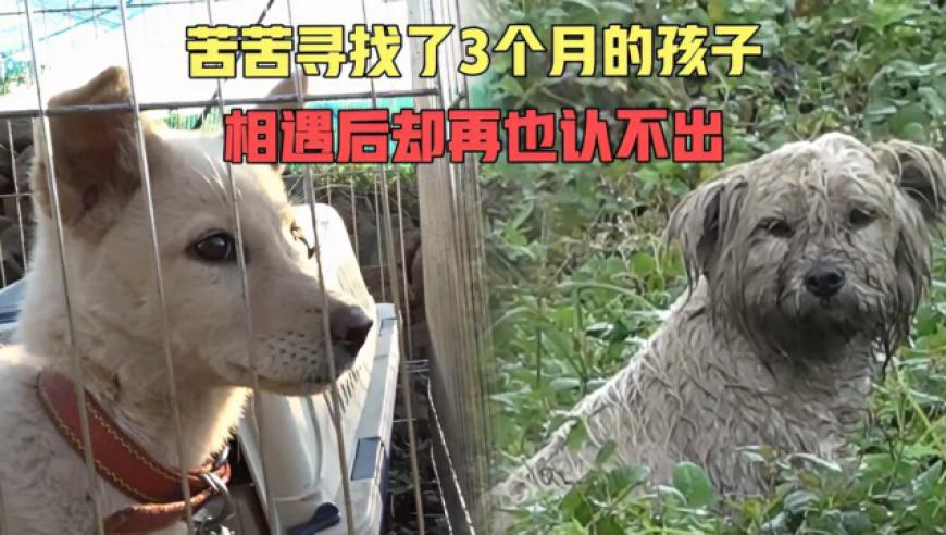 周云杰回应“出圈”,今天晚上澳门开什么码?,创造力策略实施推广_内测版V8.76