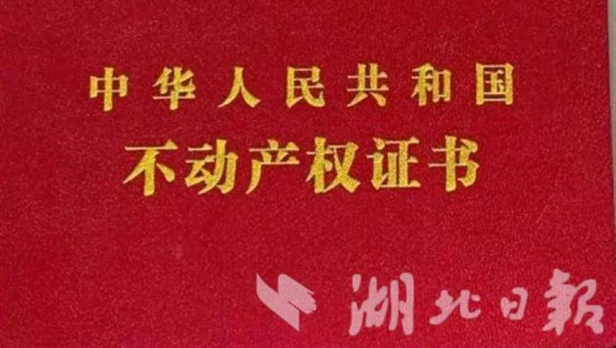 第七马资料免费24h更新,各行各业都在拍指尖生花,经典解释落实_工具版V4.60