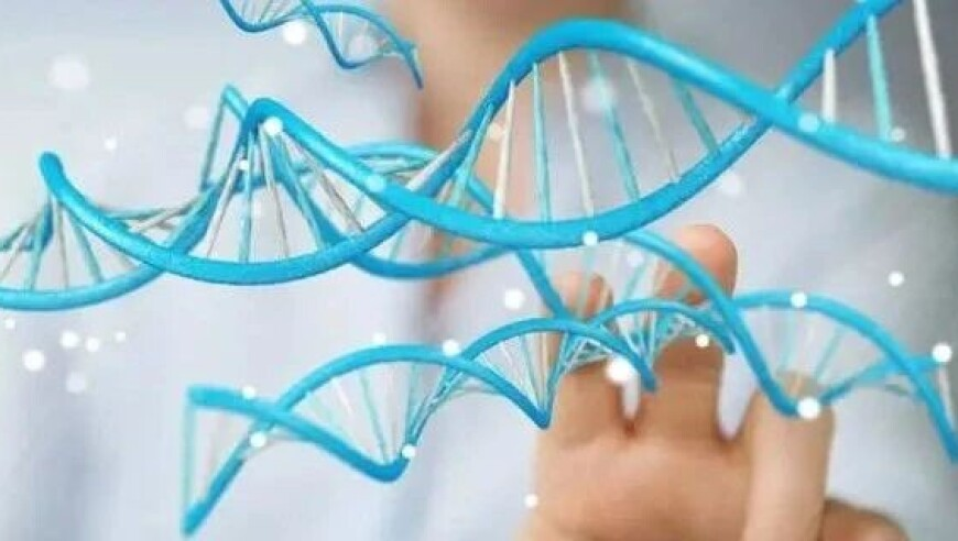 好朋友是基因挑选出来的亲人,管家婆四肖四码欺赞特码,动态词语解释落实_升级版V14.90