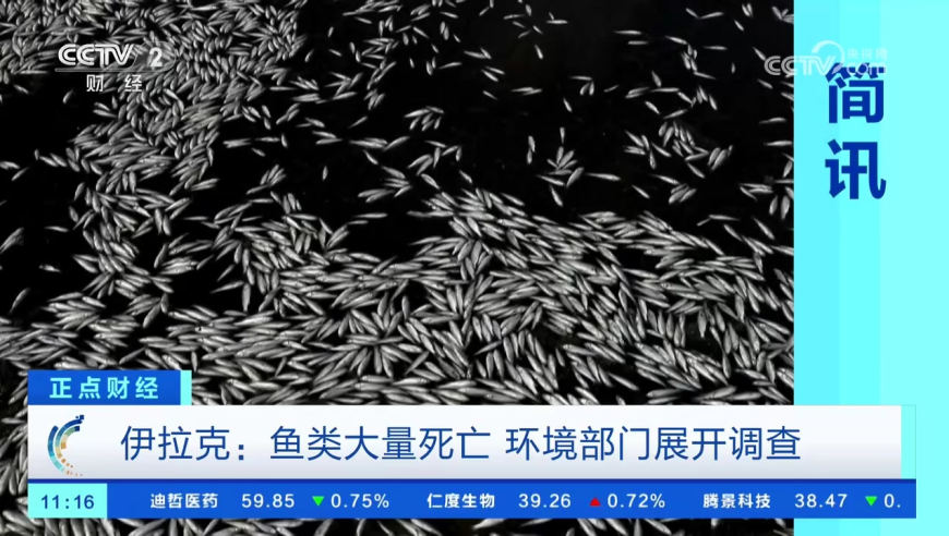 美欧日股市暴跌,2025澳门免费资料大全下载,典故解疑_储蓄版V1.63